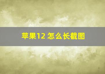 苹果12 怎么长截图